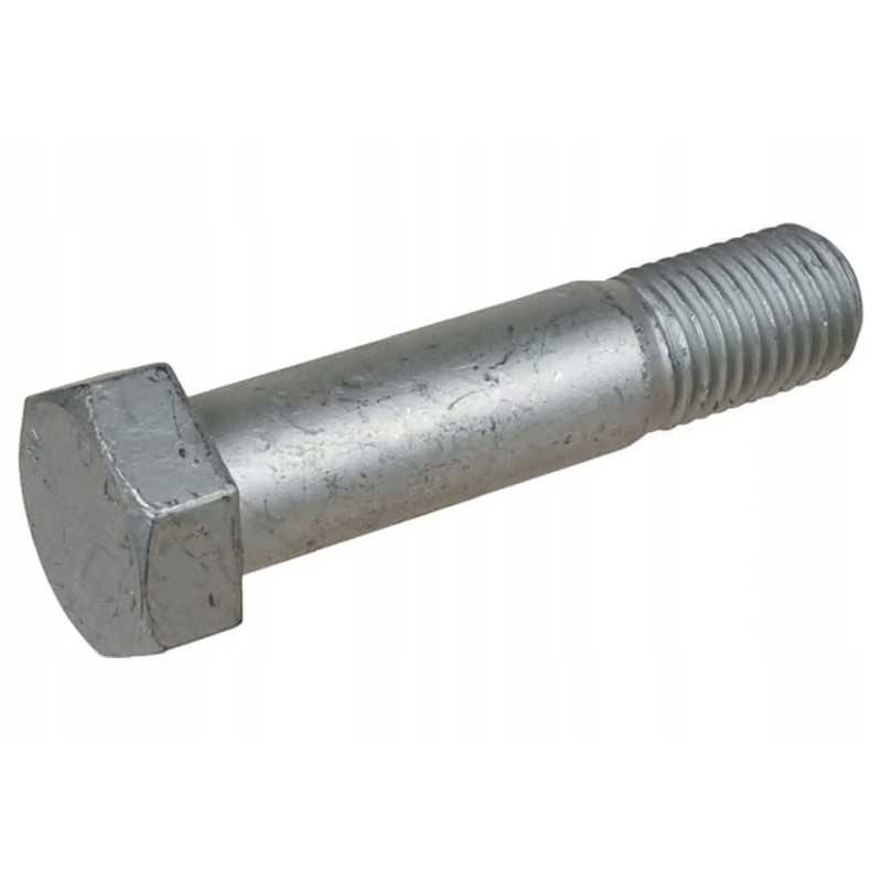 00310058 varžtas 24x107 sw36 n zn ge