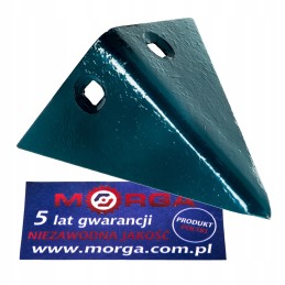 Raiderio plūgo antgalis