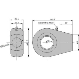 Pavaros ąsos guolis ge 30 kt2 50 ue2 50
