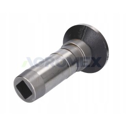 Warynski diskinio guolio įvorė