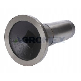 Warynski diskinio guolio įvorė