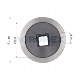 Warynski diskinio guolio įvorė