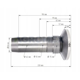 Warynski diskinio guolio įvorė