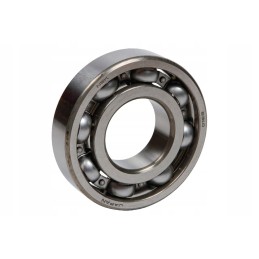 100401042 rutulinis guolis 6310