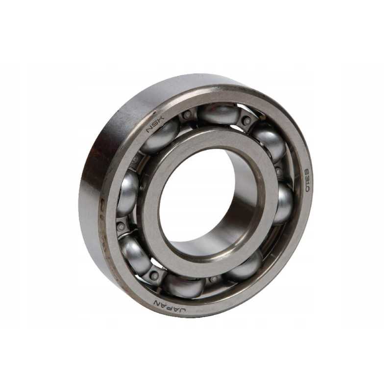 100401042 rutulinis guolis 6310