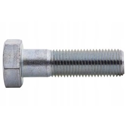 15860134 varžtas m14x1 5x50 10 9