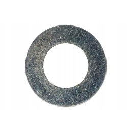 7000603376 plokštelinė spyruoklė