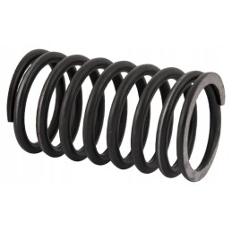 Vidinės galvos vožtuvo spyruoklė tinka C 38