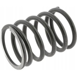 Išorinės galvos vožtuvo spyruoklė tinka C 38