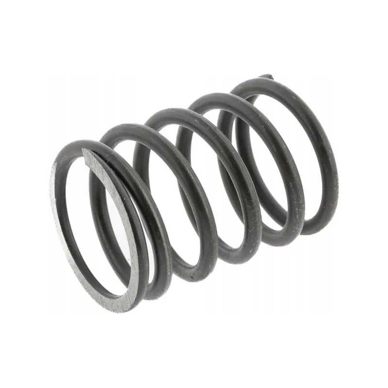 Išorinės galvos vožtuvo spyruoklė tinka C 38