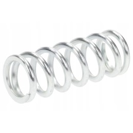 300080983 spyruoklė