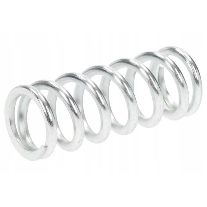 300080983 spyruoklė