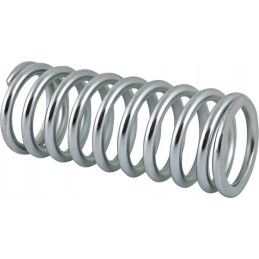 Slėgio spyruoklė yra seno tipo vidinė sankaba