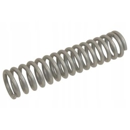 310004215 spyruoklė