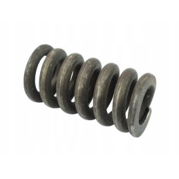 Spyruoklinis kaištis 385 80121091