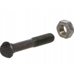 Išgaubtas noragėlių varžtas m10x60mm veržlė cp804p025