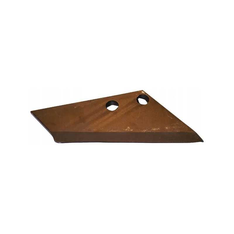 Dešiniojo sparno dalis