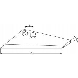 Dešiniojo sparno dalis