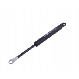 Priekinio stoglangio lango pavara 255mm mf polmo