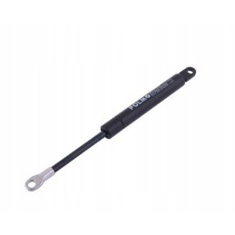 Priekinio stoglangio lango pavara 255mm mf polmo