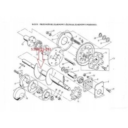 Horizontalus grūdų varžtas BS Z110