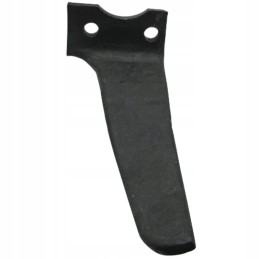 Dešinysis akėčių dantis