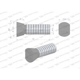 Varžtų komplektas, ovalus, išpjautas iš abiejų pusių, M12x40