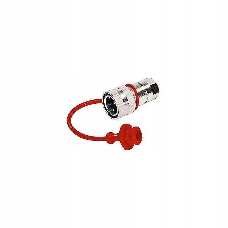 Grybų kepurė 1 2 raudona kepurė