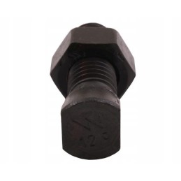 Varžtas plius ovalus 12x40 vogel noot warynski 25