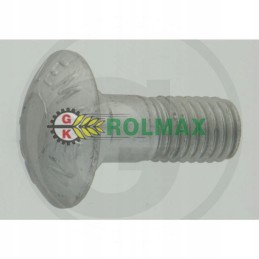 Grybuko galvutės varžtas 3011806 Lemken