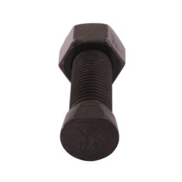 Pluzna varžtas ovalus 16x80 kverneland warynski 10x