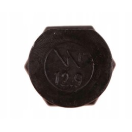 Pluzna varžtas ovalus 16x85 kverneland warynski 10x