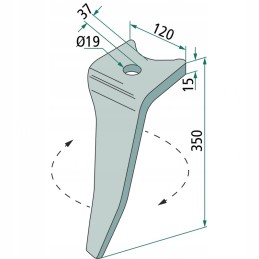 Dešinysis akėčių dantis
