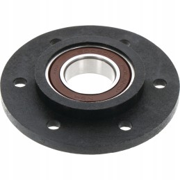 Peiliu supjaustyta stebulė, pilna kleine 810954