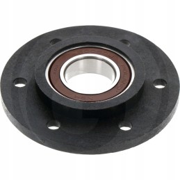 Peiliu supjaustyta stebulė, pilna kleine 810954