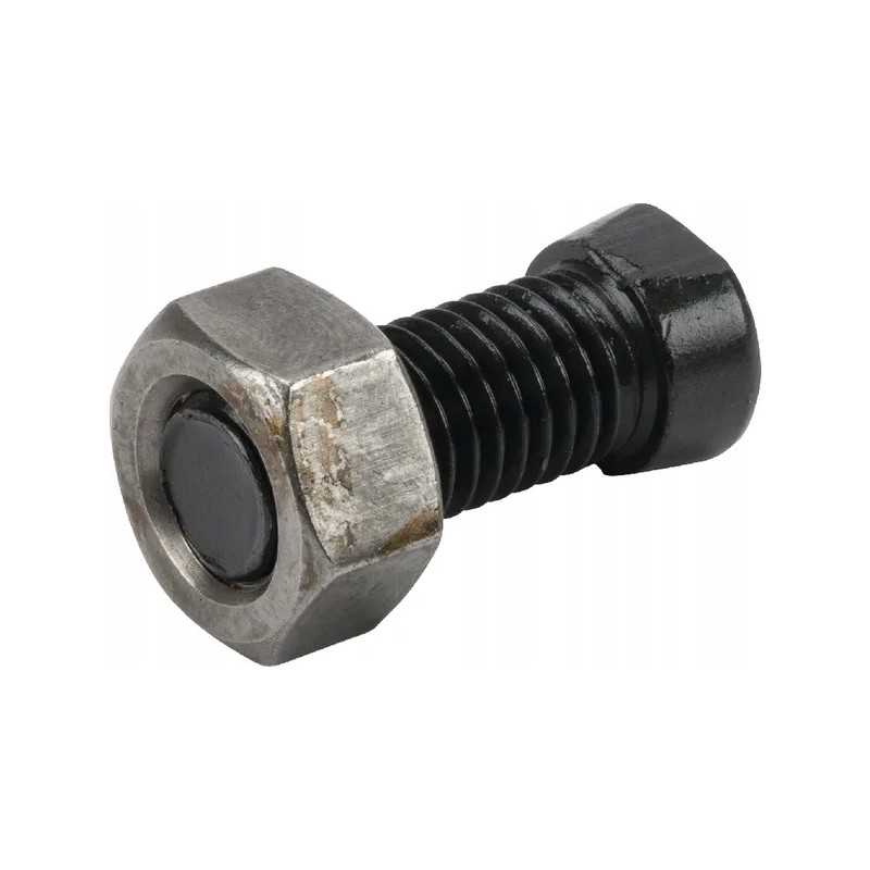 Varžtų rinkinys 1 vnt M12x34 mm C2F veržlė