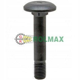 Grybuko galvutės varžtas 22044908 rabe