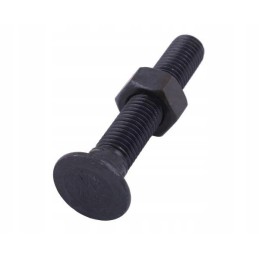 Varžtų komplektas plius M12x80 10 9 storesni Warynski 25x