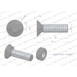 Varžtų komplektas, dviejų nosies kaištis, didesnė galvutė m12x45 mm