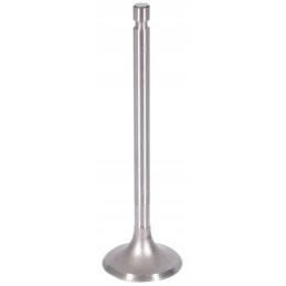 Siurbimo vožtuvas tinka c 360