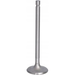 Įsiurbimo vožtuvas tinka c 330