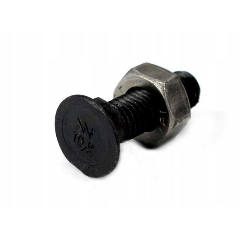 2 nosių varžtas, didesnė galvutė, m12x40 mm, 12 klasė