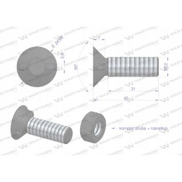 2 nosių varžtas, didesnė galvutė, m12x40 mm, 12 klasė