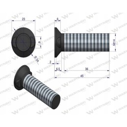 Varžtų rinkinys, 2 nosies plius, 14x45 12 9 warynski 25x