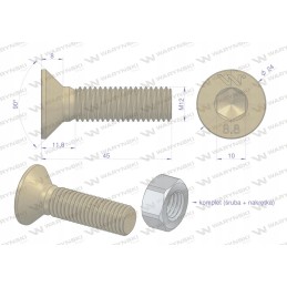 Varžtų rinkinys M12x45 šešiabriaunis raktas 10 din7991 Warynski