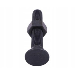 Sraigtinis griebtuvas m12x80 mm 10 klasė 9 Warynski