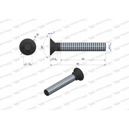 Sraigtinis griebtuvas m12x80 mm 10 klasė 9 Warynski