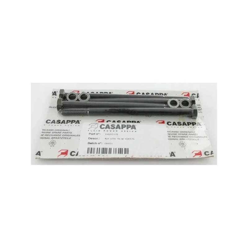 Tvirtinimo varžtai Polaris 20 m10x175 mm 4 vnt