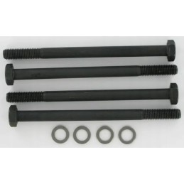 Tvirtinimo varžtai Polaris 20 m10x145 mm 4 vnt