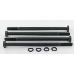 Tvirtinimo varžtai Polaris 20 m10x185 mm 4 vnt